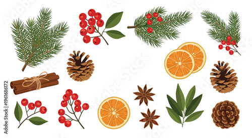 Collection of traditional Christmas decorative elements including pine branches red berries cinnamon sticks dried orange slices and pine cones.