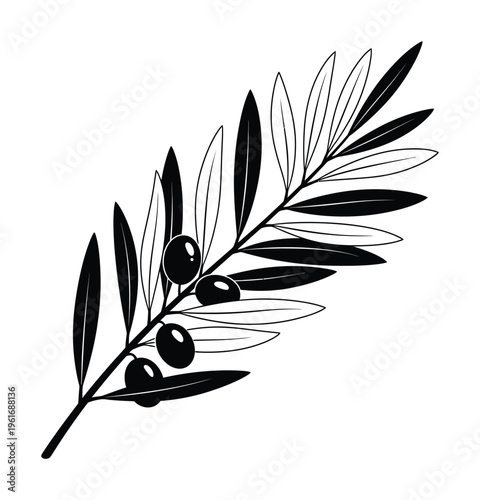 Vector of an olive branch with leaves and olives