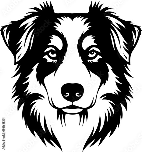 Australian Shepherd dog silhouette vector illustration