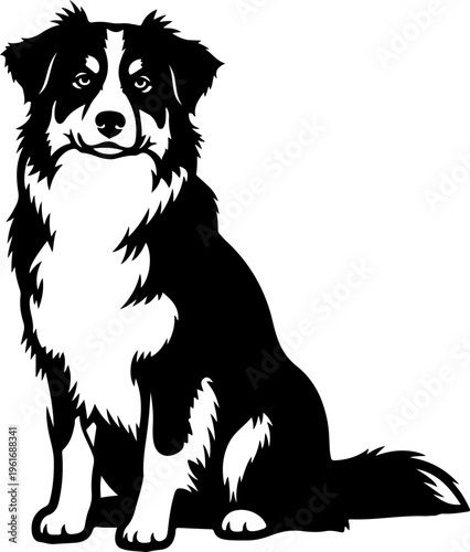 Australian Shepherd dog silhouette vector illustration