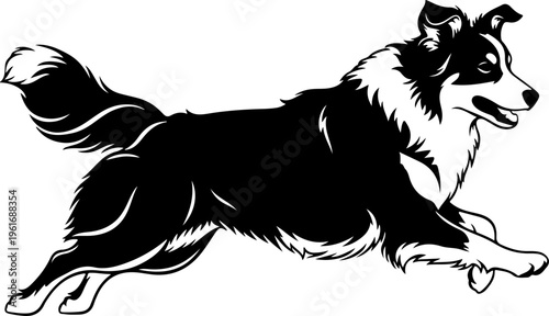 Australian Shepherd dog silhouette vector illustration