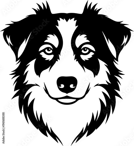 Australian Shepherd dog silhouette vector illustration