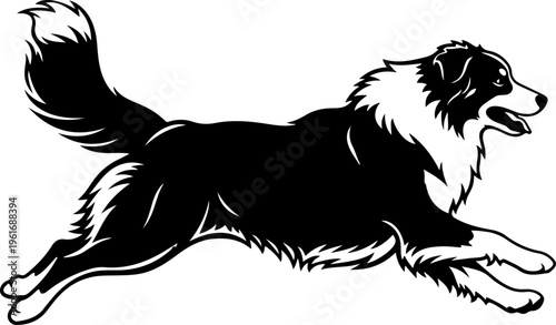 Australian Shepherd dog silhouette vector illustration