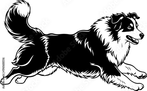 Australian Shepherd dog silhouette vector illustration