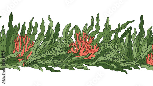 Beautiful underwater illustration showing a vibrant coral reef with green seaweed and pink corals along a white seabed border.
