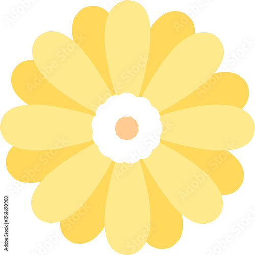 Yellow flower 노란 꽃