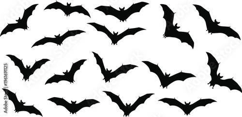 Flying bat silhouette collection in different poses, black vector illustration isolated on white background, spooky halloween nocturnal animal set