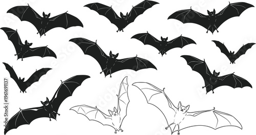 Flying bat silhouette collection, black Halloween vampire bat vector set isolated on gray background for spooky design and wildlife themes