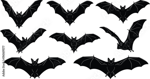 Flying bat silhouette collection, spooky nocturnal animals in different wing positions set for Halloween themes, horror decoration, wildlife design, dark black vector illustration