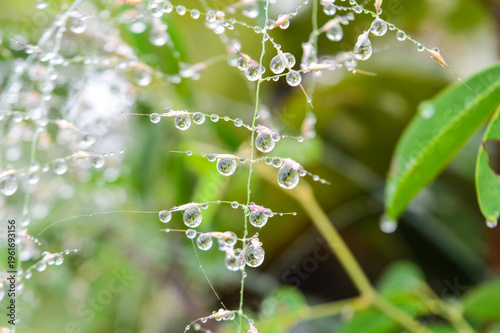 Dewdrops shining in the sun on a blade of grass