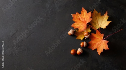 acorns. Autumn arrangement of maple leaves and acorns in a corner pattern on a dark textured surface, warm seasonal still life. representing seasonal cycles and harvest abundance.
