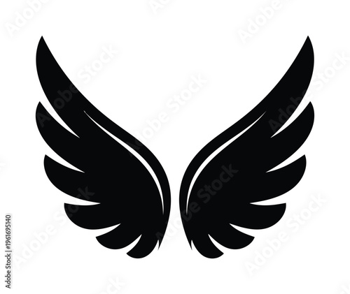 Pair of vector wings symmetrically placed