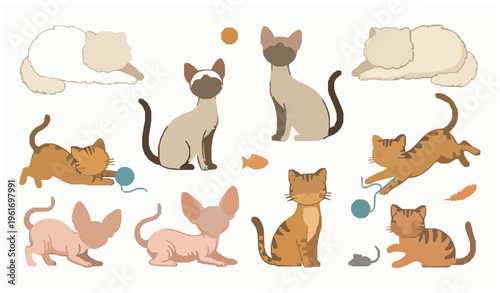Flat Cartoon Illustration Set of Cute Cats Featuring Persian Siamese Sphynx Bengal and Tabby Breeds in Playful Poses for Pet Themed Designs