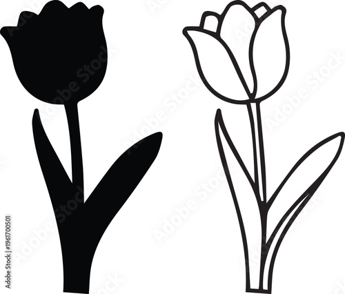 tulip flower silhouette and outline vector .