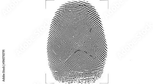 Fingerprint with detailed black lines and swirls pattern featuring biometric, identification, security with forensic and crime elements for