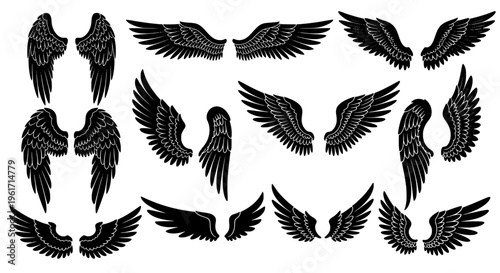 Wings set with various black silhouettes, detailed feather patterns, and dynamic flying positions, for design and symbolic use.