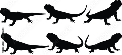 Uromastyx lizard silhouette collection with side view poses. Spiny tail desert reptile set isolated for wildlife, animal, and nature design.