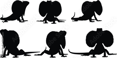 Frilled lizard silhouette set with expanded frill display poses. Exotic reptile vector collection isolated for wildlife, nature, and animal design use.