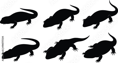 Skink silhouette vector collection. Small reptile set with smooth bodies and curved tails in varied poses. Black animal illustrations for wildlife design and nature themes.