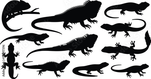 Lizard and iguana silhouette vector set. Reptile collection with various poses, tails and body shapes. Black animal illustrations for wildlife design and tropical nature themes.