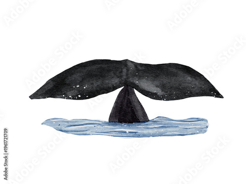 watercolor handdrawn part of tail whale on background