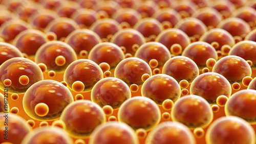 Lipid storage process shown by close up of orange spherical fat cells tightly packed together in biological pattern with smooth shiny surfaces