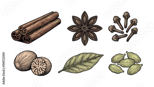 Vintage engraving style vector set of aromatic spices. Cinnamon, star anise, clove, nutmeg, bay leaf and cardamom for cooking or culinary design. Hand drawn food illustration.