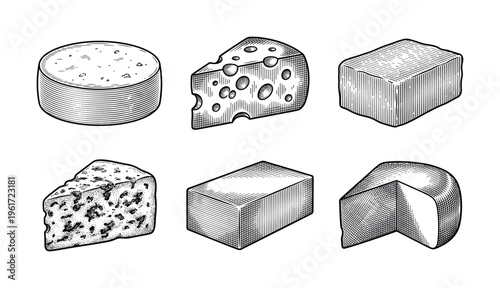 A vintage set of different cheese types in a hand-drawn engraving style. Vector illustrations for gourmet food menus, packaging, or restaurant branding. Black and white.