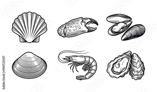 A set of vintage seafood illustrations in a classic engraving style. Includes shrimp, oyster, crab, and shells. Ideal for restaurant menus, logos, or packaging design.