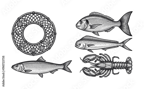 A set of vintage sea life illustrations in an engraving style. Includes fish, lobster, and a fishing net. Perfect for seafood menus, packaging, or nautical-themed designs.