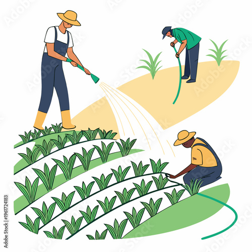 Farmers watering and tending to plants in a field