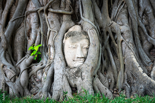 Buddha Head statue with trapped in Bodhi Tree roots at Wat Maha That Ayutthaya. Ayutthaya historical park Thailand.