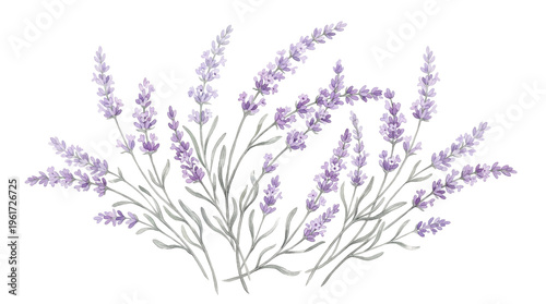Beautiful lavender bouquet illustration with detailed botanical elements