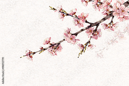 japanese cherry blossom