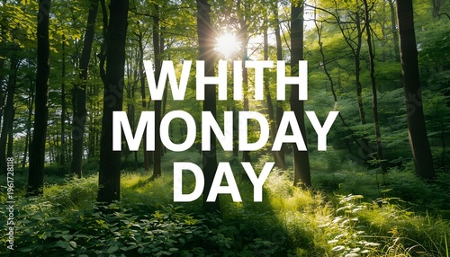 A serene forest landscape with sunlight filtering through trees on a peaceful day