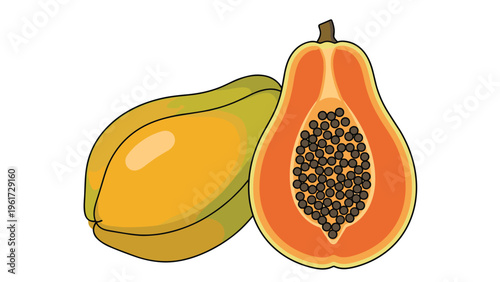 Fresh tropical fruit illustration featuring a whole papaya and a half section showing orange pulp and black seeds in a vector style.