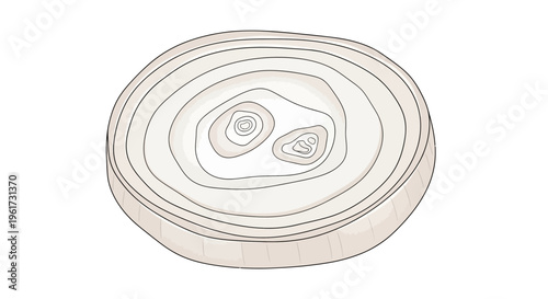 Close-up of a white onion slice with concentric rings and visible layers