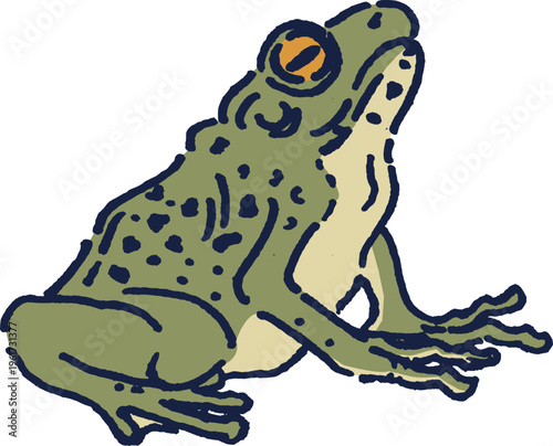 Cute Green Frog Sitting and Looking Upward With Big Eyes and Detailed Skin Texture - Hand-Drawn Illustration