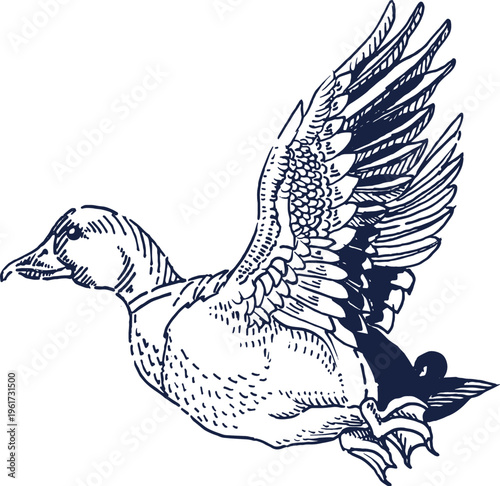 Dynamic hand-drawn illustration depicting a wild duck in mid-flight, showcasing its powerful wing beats and natural elegance with a classic sketch art style