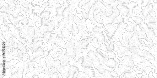 Gray topographic map lines on white background for design and texture