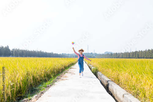 A little girl playing with a pinwheel in a rice field in autumn