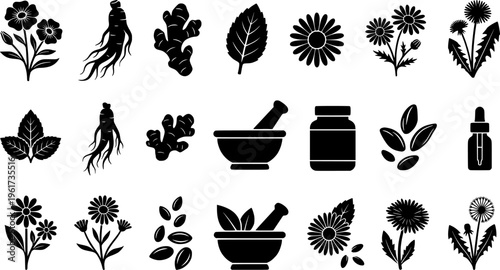 Medicinal Herb Icons. medicinal herbs set. Line outline icon set of medicinal herbs set: echinacea flower,
