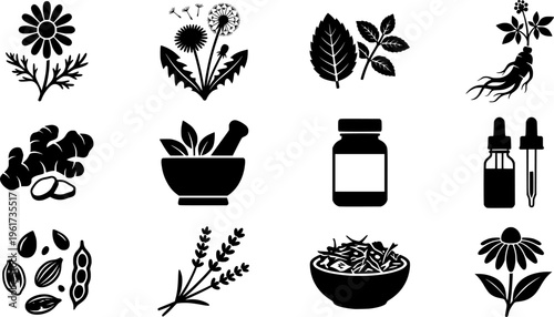 Medicinal Herb Icons. medicinal herbs set. Line outline icon set of medicinal herbs set: echinacea flower,
