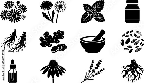 Medicinal Herb Icons. medicinal herbs set. Line outline icon set of medicinal herbs set: echinacea flower,
