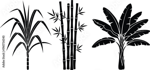 Tropical plant silhouettes, sugarcane illustration, bamboo design, banana leaves artwork, botanical foliage, agriculture symbol, exotic vegetation, nature pattern, eco artwork