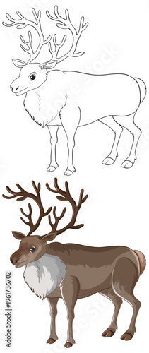 Reindeer Vector Illustration with Outline and Colored Versions for Coloring