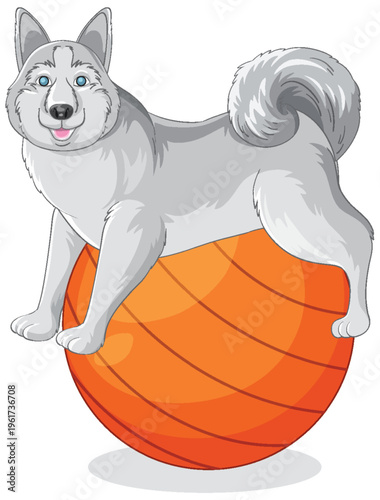 Cartoon Siberian Husky Dog Balancing on a Large Orange Exercise Ball