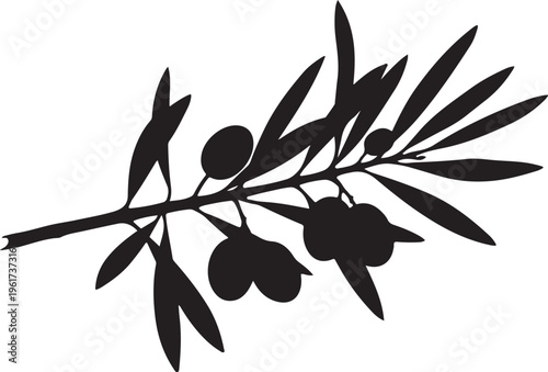 Olive branch silhouette, black olive tree branch, vector illustration, food icon