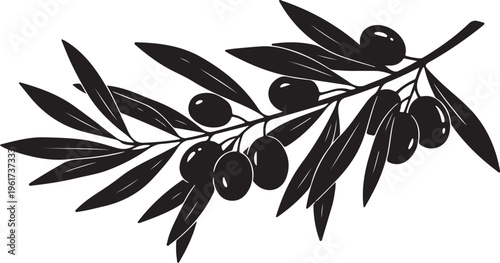 Olive branch, black silhouette, vector illustration, leafy greenery, food icon
