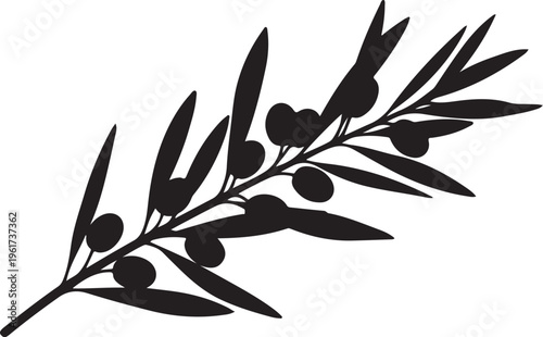 Olive branch, black silhouette, leafy vector, botanical icon